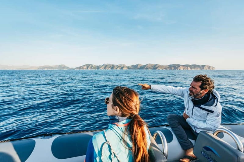 Alcudia or Can Picafort: Dolphin-Watching Cruise - Sunrise or later in the day?