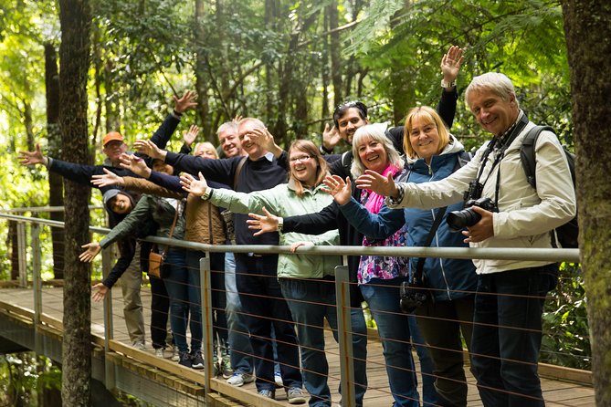 All Inclusive Blue Mountain,Scenic World,Lunch,Koalas,ferry - Why this Blue Mountains day trip works