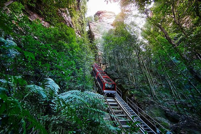 All Inclusive Blue Mountain,Scenic World,Lunch,Koalas,ferry - Additional lookouts and the Blue Mountains scenery