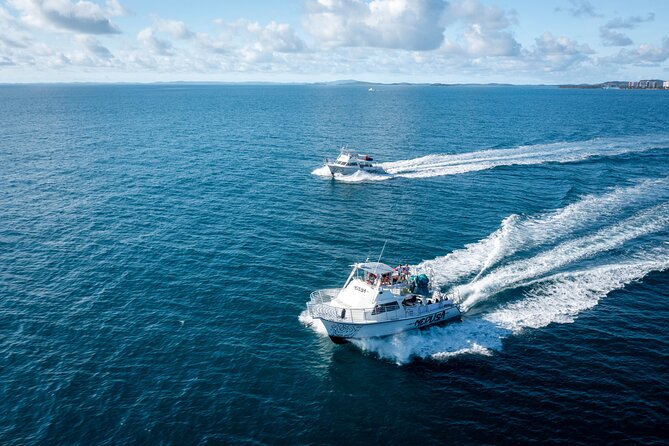 All Inclusive Snorkel and Slide Boat Tour: Icacos or Vieques - What the snorkeling is really like