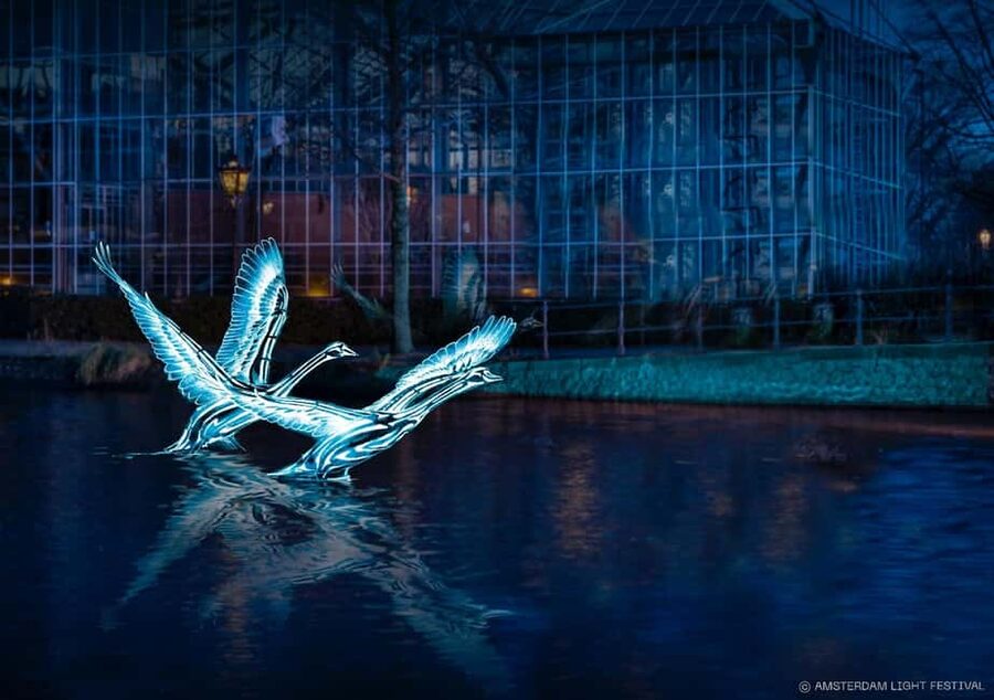Amsterdam: Light Festival Boat+Unlimit.Drinks & Snack Option - Why this Amsterdam Light Festival cruise works
