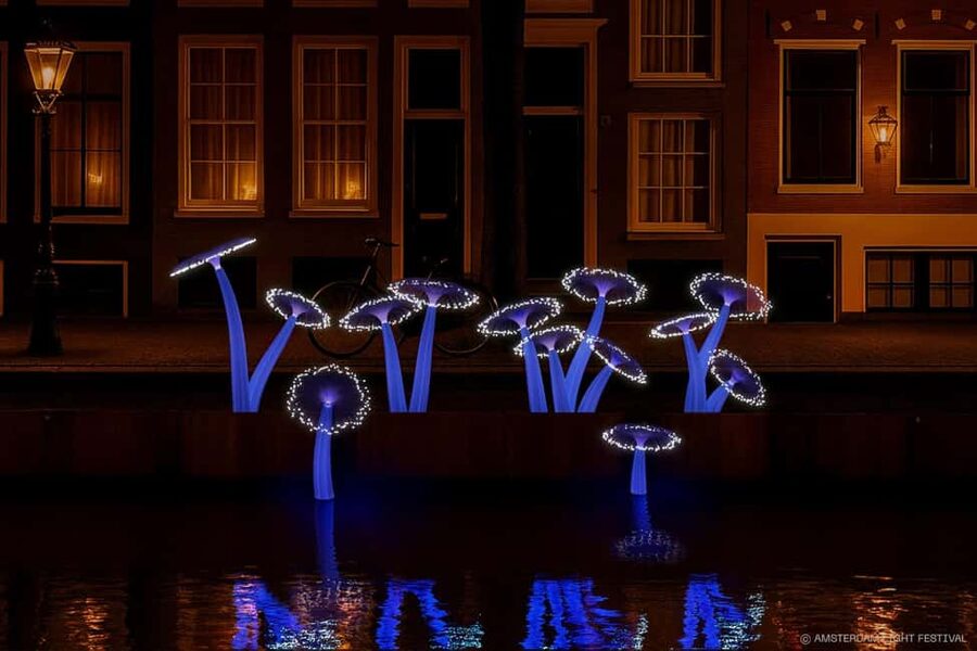 Amsterdam: Light Festival Boat+Unlimit.Drinks & Snack Option - The unlimited drinks and snack option