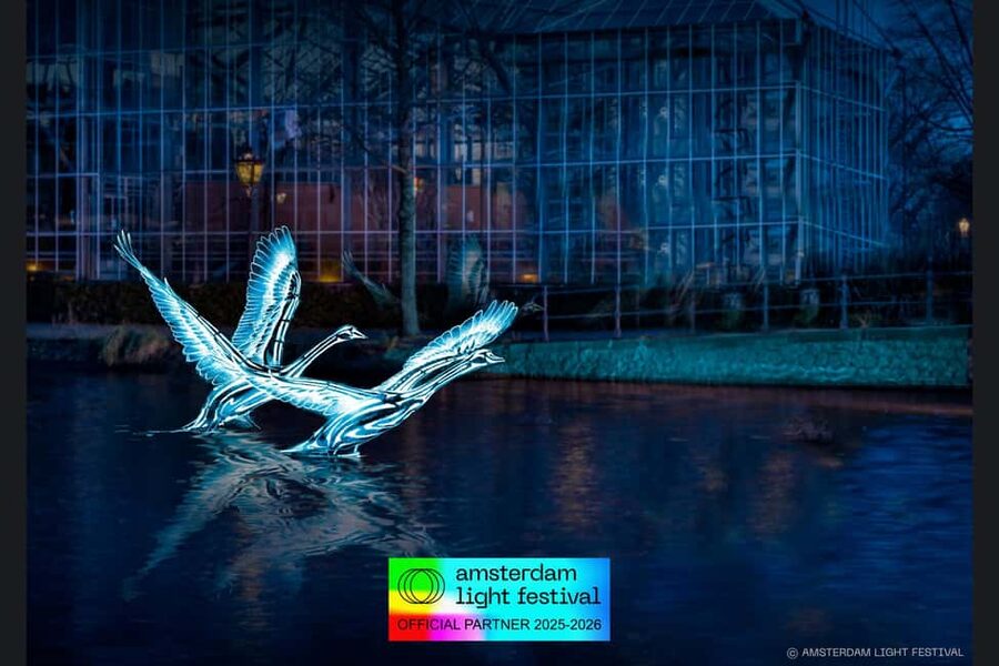 Amsterdam: Light Festival Heated Cruise + Hot Choco + Snack - Who should book this cruise?