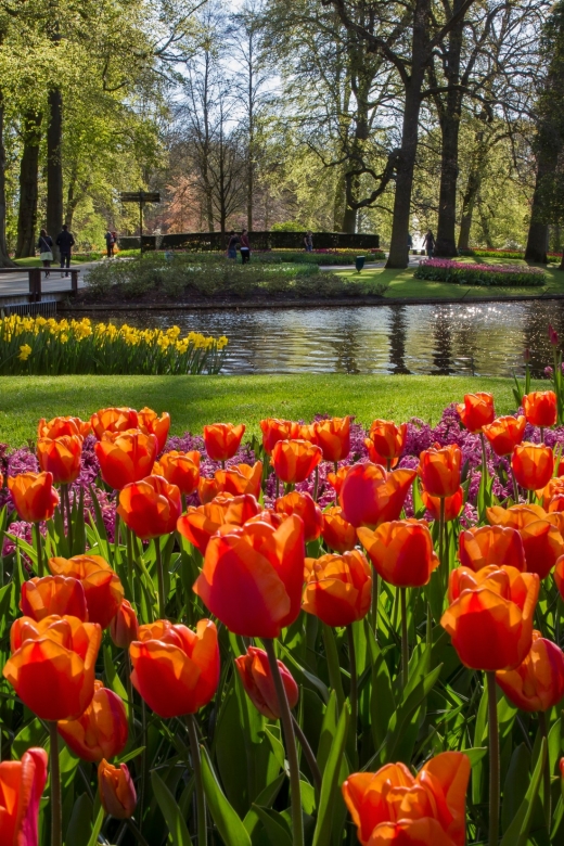Amsterdam: Tour to Keukenhof Gardens with Windmill Cruise - Key points to know before booking