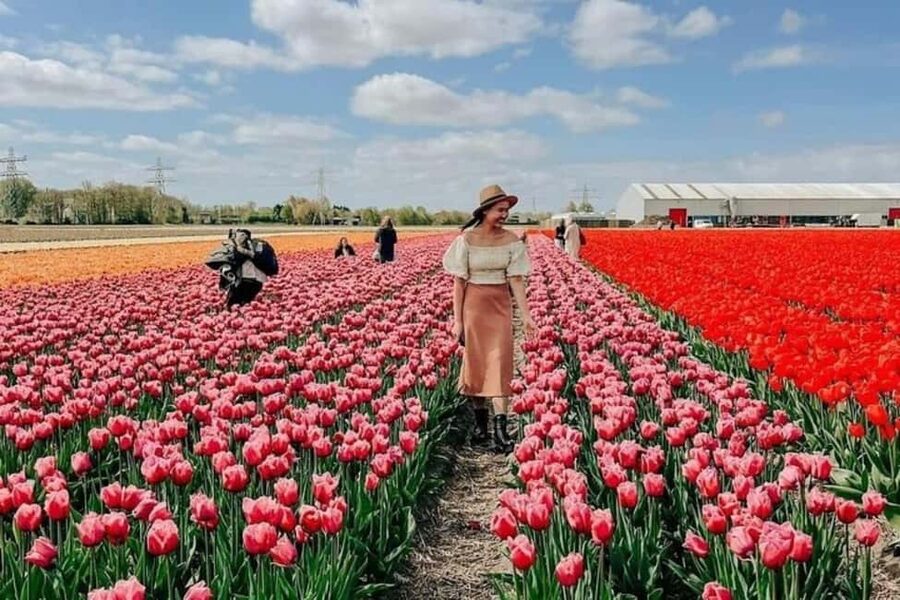 Amsterdam: Tulip Farm Visit, Keukenhof, and Windmill Cruise - The day at a glance