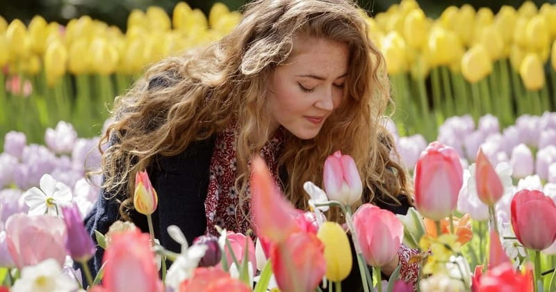 Amsterdam: Tulip Farm Visit, Keukenhof, and Windmill Cruise - Starting across the water from Amsterdam Central