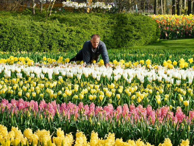 Amsterdam: Tulip Farm Visit, Keukenhof, and Windmill Cruise - Keukenhof: four hours among flowers