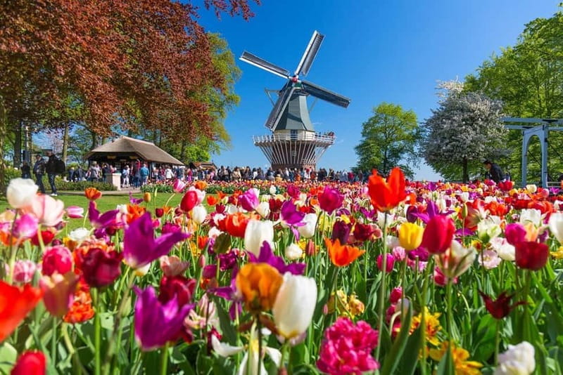 Amsterdam: Tulip Farm Visit, Keukenhof, and Windmill Cruise - Coach travel, timing, and the pace of the day