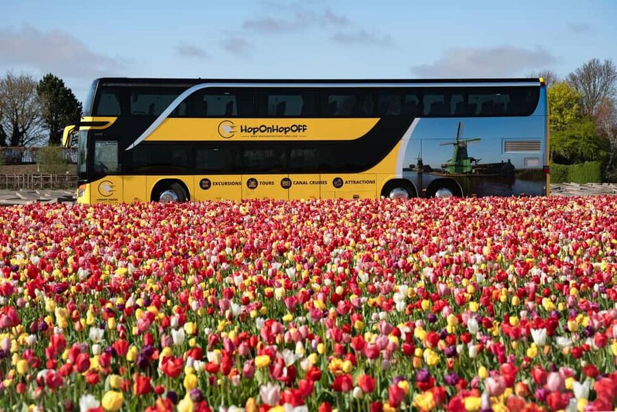 Amsterdam: Tulip Farm Visit, Keukenhof, and Windmill Cruise - What the $99 price includes