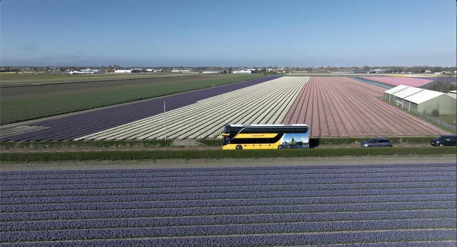 Amsterdam: Tulip Farm Visit, Keukenhof, and Windmill Cruise - Best timing for flowers and crowds