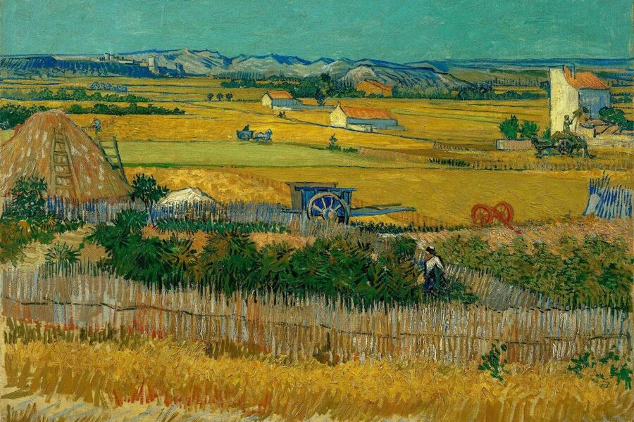 Amsterdam: Van Gogh Museum Ticket & Canal Cruise - At a glance: the details that matter