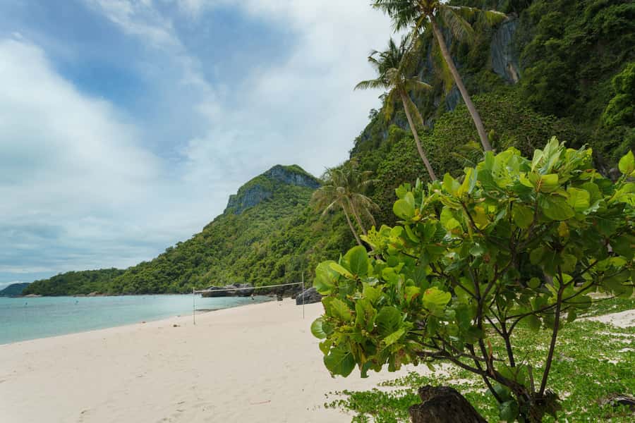 Ang Thong Full-Day Discovery Cruise from Koh Samui - Who should book this cruise?