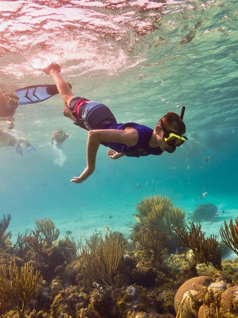 Ao Nang: 4 Islands Day Tour by Speedboat or Longtail Boat - Timing, weather, and comfort