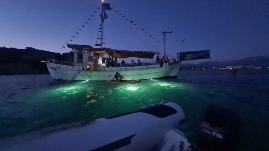 Argostoli: Full-Day Traditional Boat Cruise with Lunch - Is $70 good value?