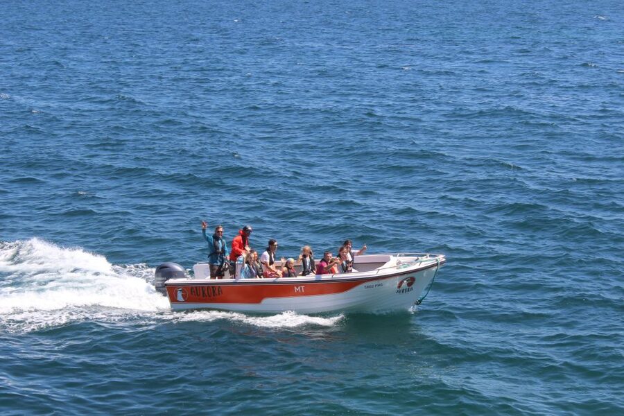 Armação de Pêra: Guided Boat Tour of Benagil's 15 Best Caves - Echo Cave, Paradise Cave, and the quieter finish
