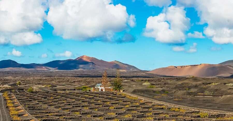 Arrecife: Timanfaya and Green Lagoon for Cruise Passengers - Why Timanfaya makes this a worthwhile Lanzarote excursion