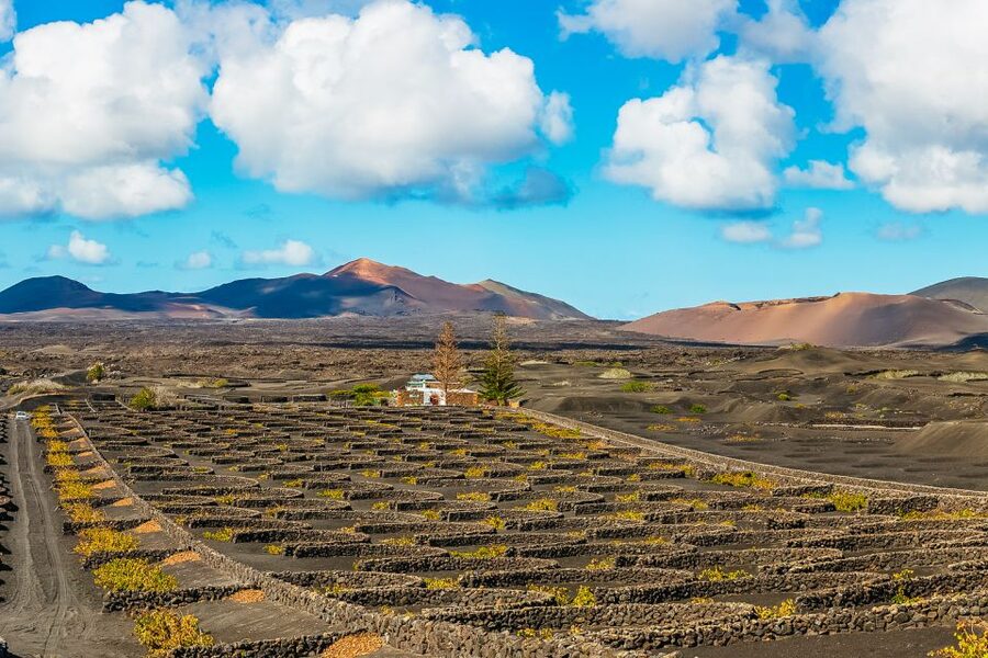 Arrecife: Timanfaya and Green Lagoon for Cruise Passengers - The Green Lagoon and Lanzarote’s unusual coast