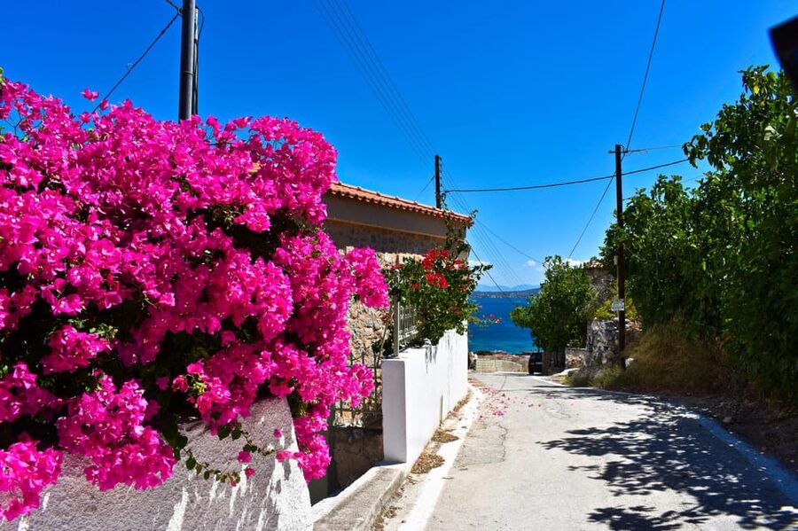 Athens: Agistri, Metopi & Aegina Cruise with Meals & Drinks - Choosing between Angelique and Martika