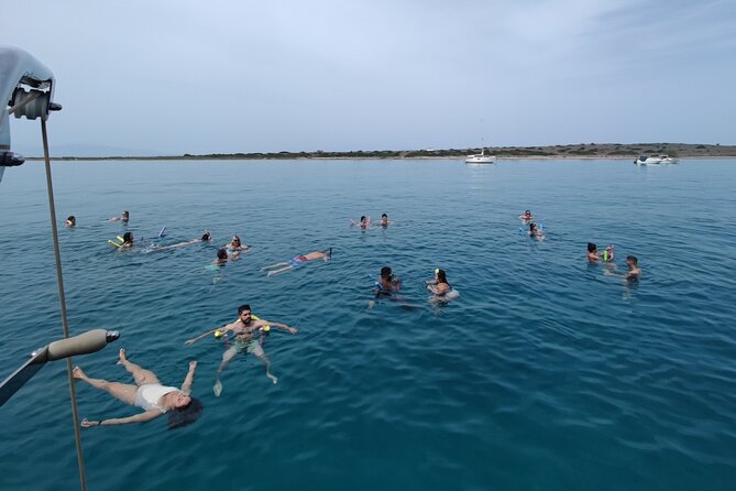 Athens cruise: Agistri, Moni/Metopi, Aegina with lunch & drinks - Aegina: pistachios and a final island walk