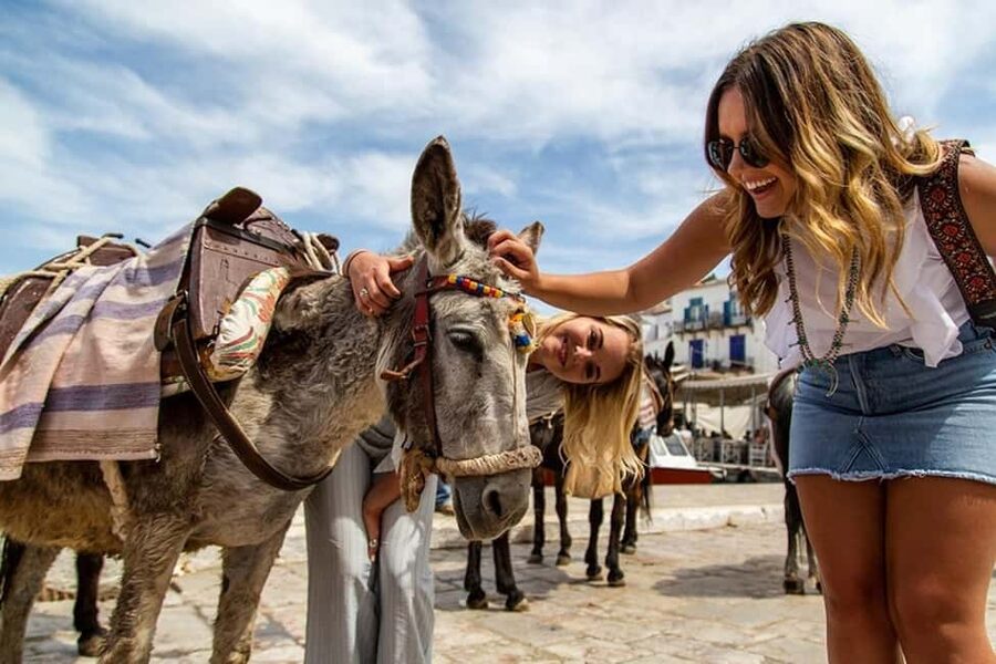 Athens: Hydra, Poros & Aegina Day Cruise with Lunch - What to bring and how to make the day easier
