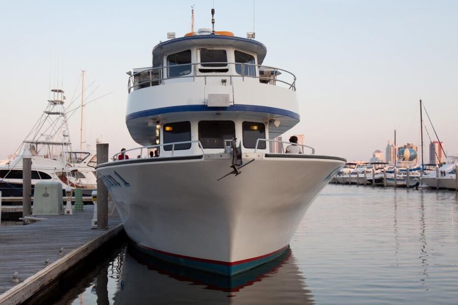 Atlantic City: Dolphin Watching Ocean Cruise Adventure - Food, drinks, and practical comfort