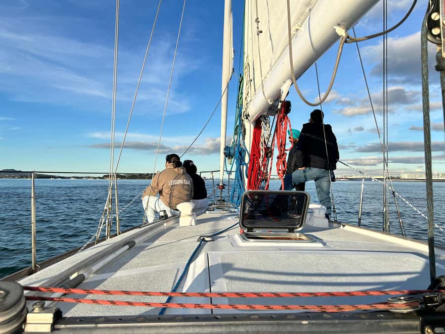 Auckland Harbour 1.5-Hour Sailing Cruise - Is $65 good value for 90 minutes?