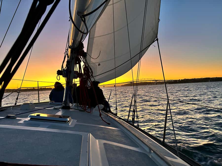 Auckland: Harbour Sailing Cruise with 3-Course Dinner - Finding the boat at Viaduct Harbour