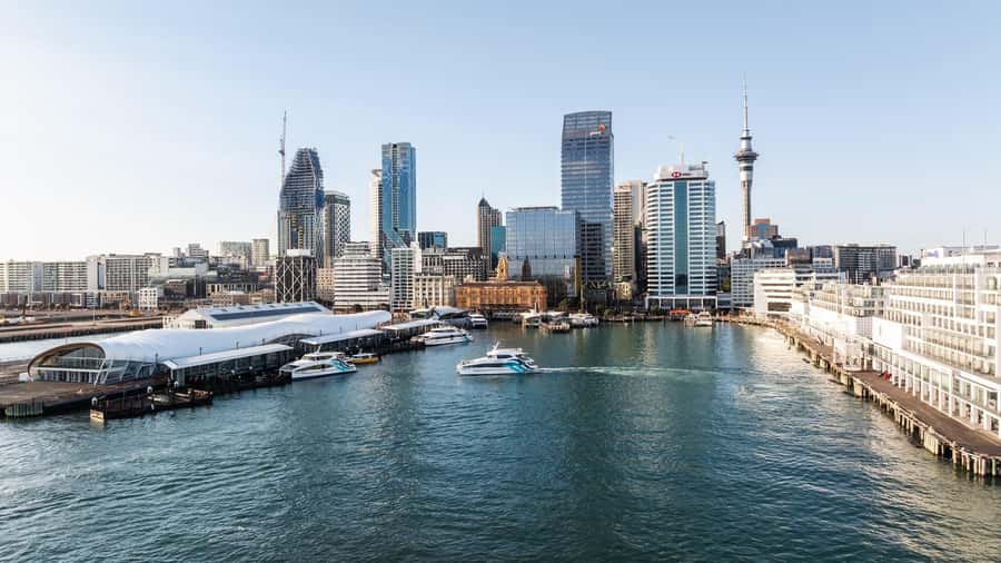 Auckland: Scenic Harbour Sightseeing Cruise - Key points to know before boarding