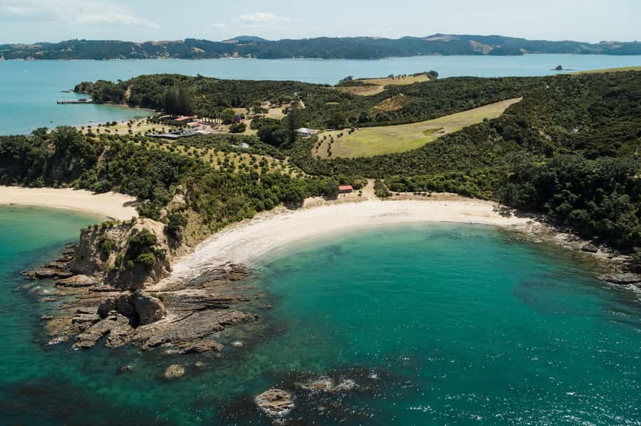 Auckland: Tikapa Moana Whales, Dolphins and Islands Cruise - Man O’ War Vineyard: wine, food, and a tight schedule