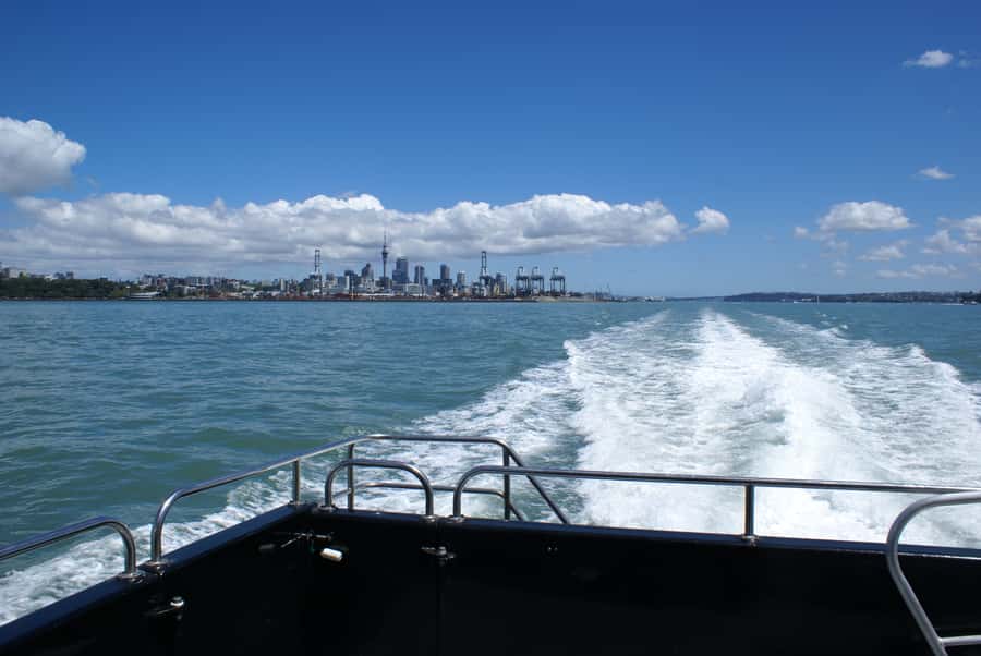 Auckland: Tikapa Moana Whales, Dolphins and Islands Cruise - Comfort, weather, and motion