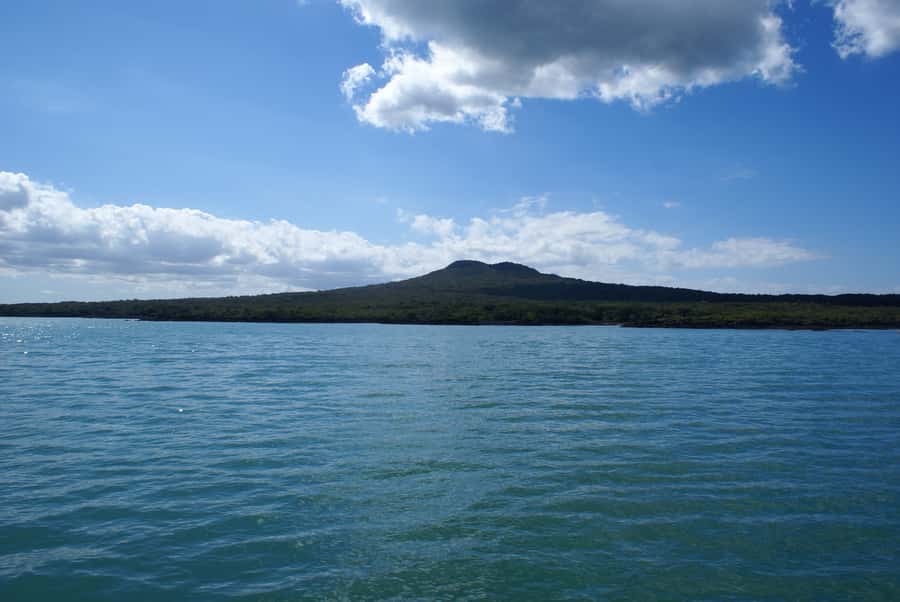 Auckland: Tikapa Moana Whales, Dolphins and Islands Cruise - My verdict: book it for the full-gulf experience