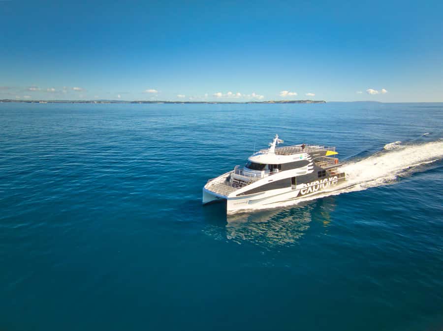 Auckland: Tikapa Moana Whales, Dolphins and Islands Cruise - The long search for whales and dolphins