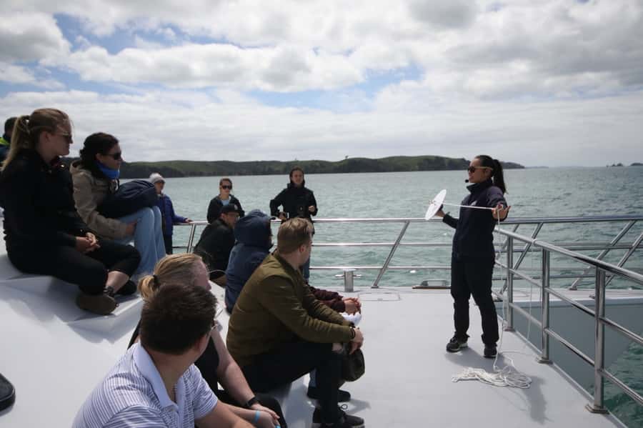 Auckland: Whale and Dolphin Watching Half-Day Eco Cruise - Searching for dolphins, whales, and orcas