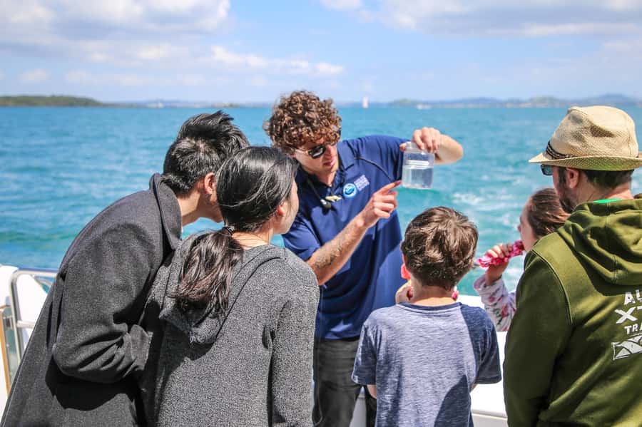 Auckland: Whale and Dolphin Watching Half-Day Eco Cruise - The crew makes a real difference