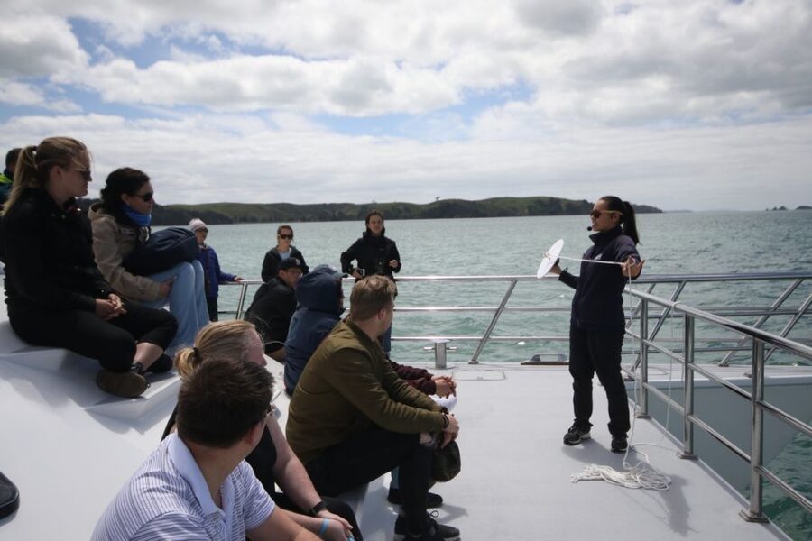 Auckland: Whale and Dolphin Watching Half-Day Eco Cruise - Who should book this cruise?