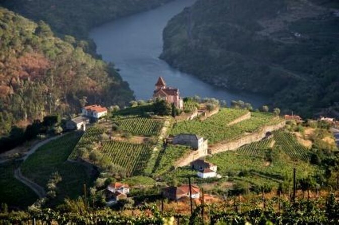 Authentic Small Group Douro Wine Tour with Lunch & River Cruise - The day in five useful points