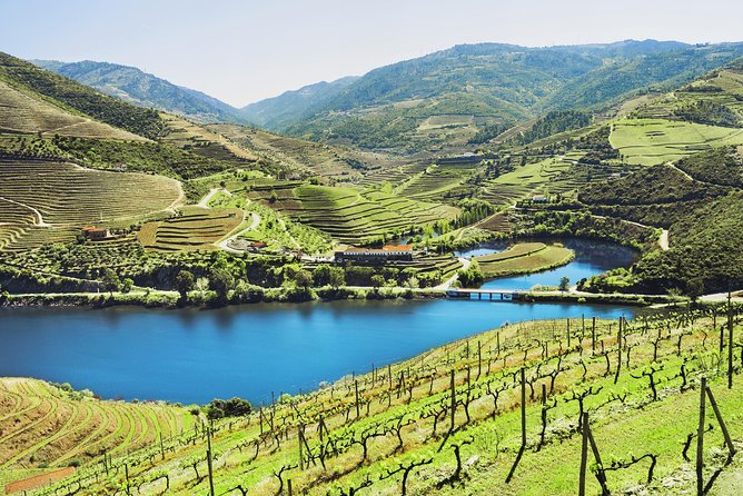 Authentic Small Group Douro Wine Tour with Lunch & River Cruise - Why this Douro day trip works so well