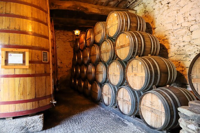Authentic Small Group Douro Wine Tour with Lunch & River Cruise - First winery: what the tasting adds