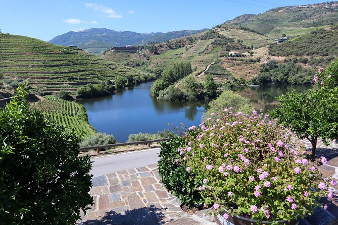 Authentic Small Group Douro Wine Tour with Lunch & River Cruise - Pinhão, the Rabelo boat, and the river views