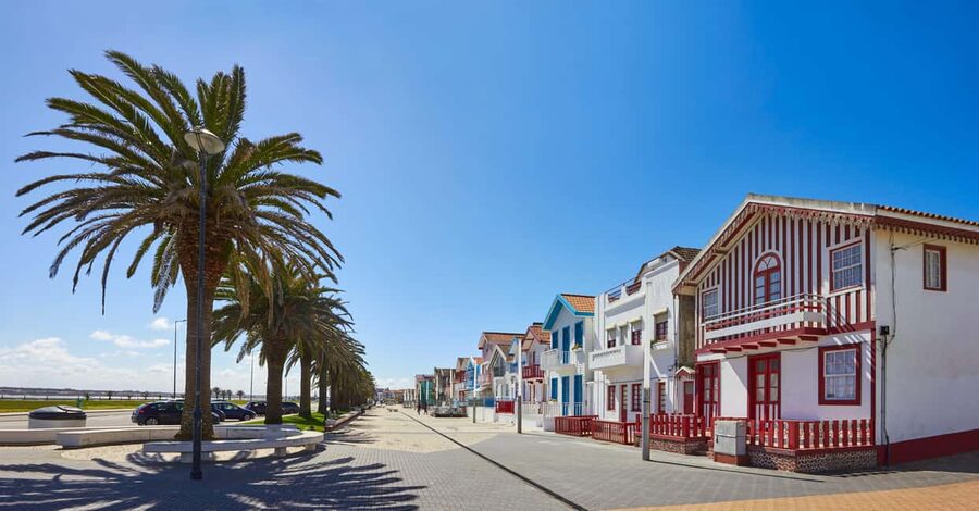 Aveiro: Half-Day Tour from Porto with Optional Cruise - What the traditional moliceiro boat adds