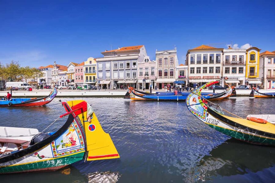 Aveiro: Half-Day Tour from Porto with Optional Cruise - Who should book this half-day outing