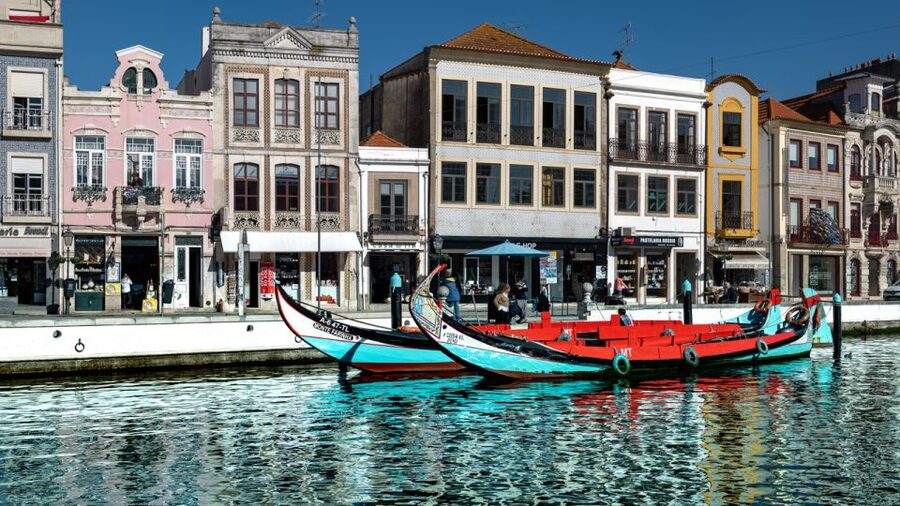 Aveiro: Scenic Guided Boat Tour - Key points to know before you go