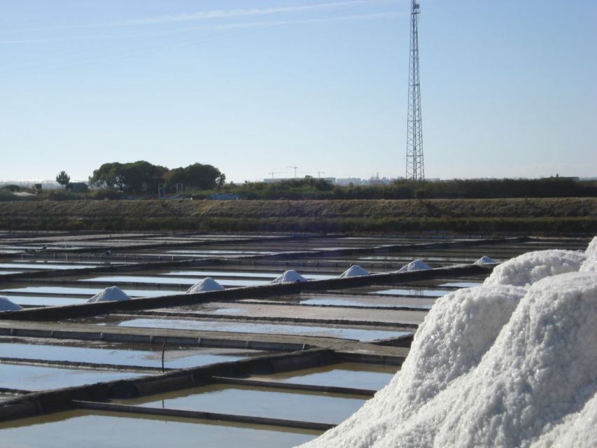 Aveiro: Walking Tour, Boat Cruise, Sweets & Church Entrance - Ovos moles, a small but useful taste of Aveiro