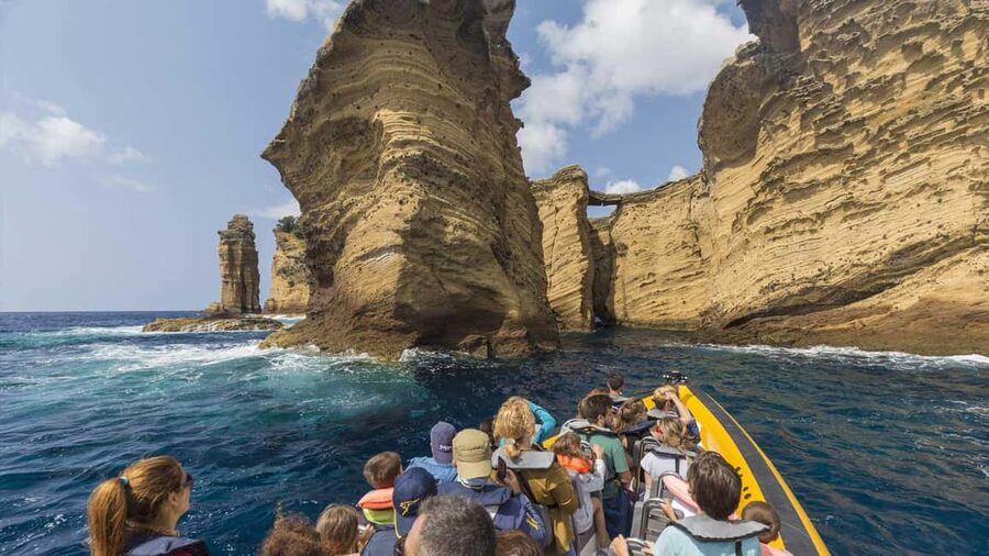 Azores: Whale Watching & Islet Boat Tour w/ Marine Biologist - Key points to know before booking