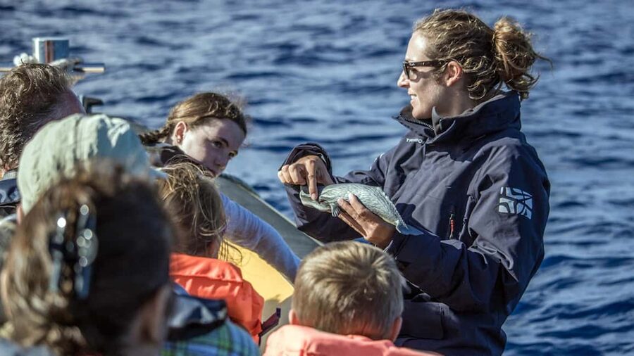 Azores: Whale Watching & Islet Boat Tour w/ Marine Biologist - What the guide adds to the trip