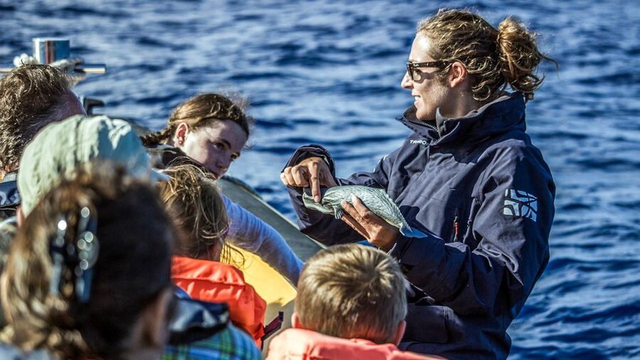 Azores: Whale Watching & Islet Boat Tour w/ Marine Biologist - Best times, group comfort, and weather