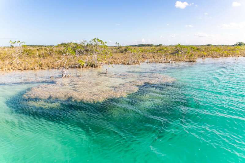 Bacalar: 3 Hour Boat Trip with Swimming & Drinks - Cenote Negro and the lagoon’s darker tones