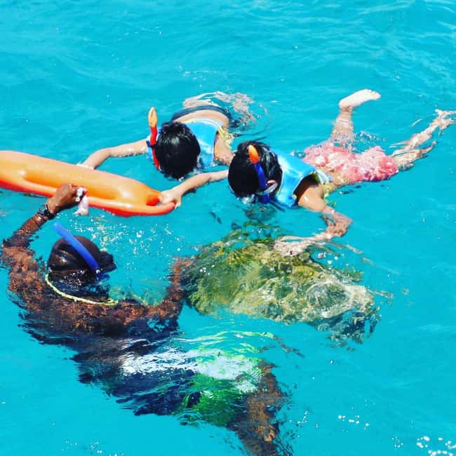 Barbados: Catamaran Tour with Snorkeling and Lunch - Key points at a glance