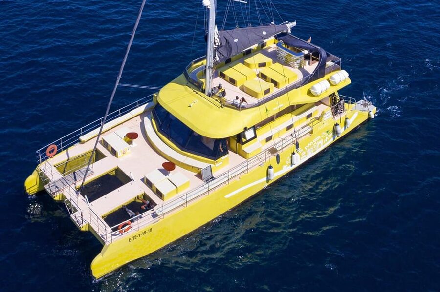 Barcelona: Daytime or Sunset Catamaran Cruise with Music - What this Barcelona catamaran cruise feels like