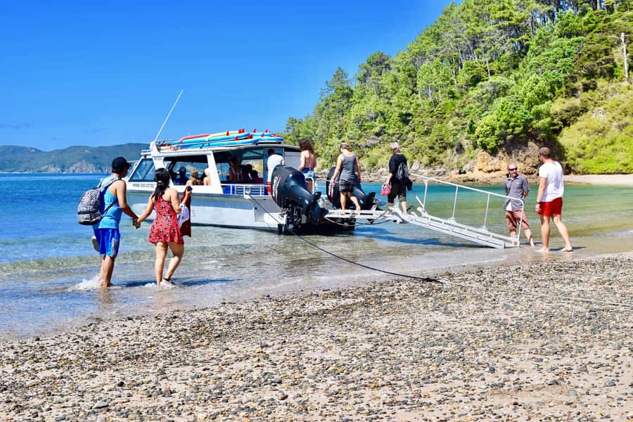 Bay of Islands: 4.5 Hour Day Cruise and Island Getaway Tour - Why this half-day cruise works so well
